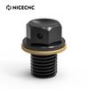 M12xP1.5 Oil Drain Plug Bolt Screw For Kawasaki Z800 Z1000 NINJA 400 NINJA 500 NINJA 1000 ZX-10 ZX-11 ZRX ZXR ZZR 400 600 1100