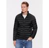 Down Jacket M1RL47 WDQ50 Black Regular Fit