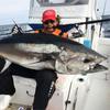 Katsuichi Premium Decoy Big Treble Y-S23 #8/0
