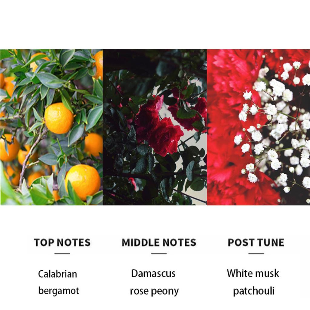 Exotic Pheromone Scented Perfume For Women, Perfumes To Attract Men, Perfume Colognes , Unique Scent,easy To Carry, Unleash Your Alluring Charm 15ml