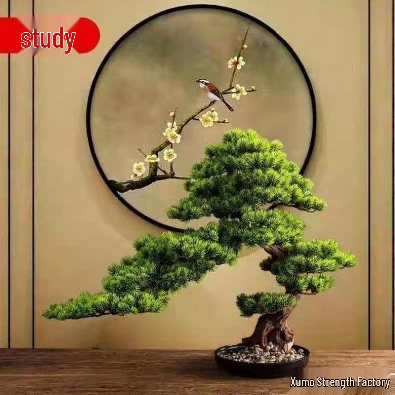 Potted Pine Bonsai for Indoor Living Room - Real Tree Landscape Decoration