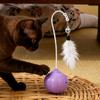 Interactive Cat Toy Pet Exercise Enrichment Teaser Wand Touch Activated Kitten Toy For Small Medium Kitten Indoor Outdoor Yards