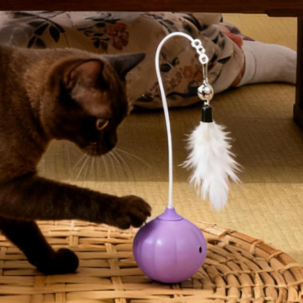 Interactive Cat Toy Pet Exercise Enrichment Teaser Wand Touch Activated Kitten Toy For Small Medium Kitten Indoor Outdoor Yards