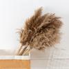 50 Pcs Dried Pampas Grass, Artificial Plant Reed Rabbittail Bouquet Home Decoration Boho Wedding Decoration