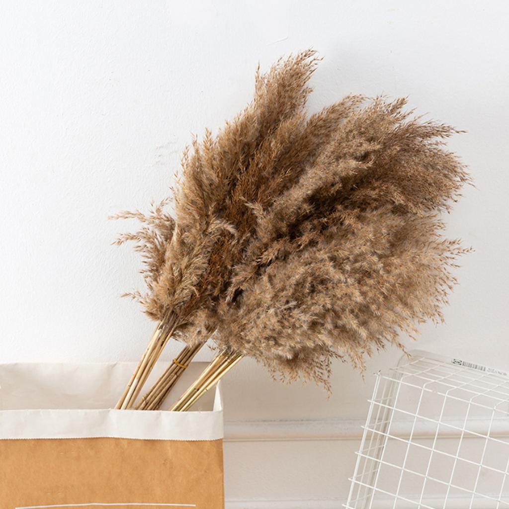 50 Pcs Dried Pampas Grass, Artificial Plant Reed Rabbittail Bouquet Home Decoration Boho Wedding Decoration