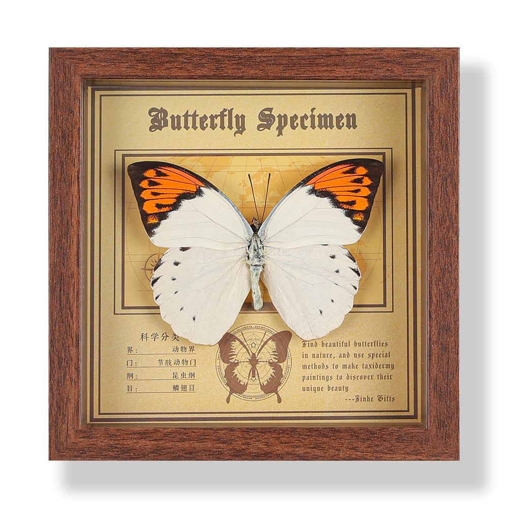 Фото рамка с настоящим specimen бабочки, декоративная картина, 3D украшение, ручная работа DIY, подарок на день рождения, specimen насекомого