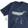 Sperm Whale Anatomy T-shirt - Whale Biology Drawing, Screen Printed on a Soft Cotton Shirt
