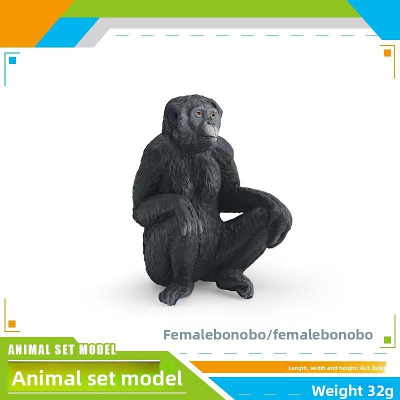 Wildlife Animal Rabbit Armadillo Macaque And Panda Model Collection Pvc Educational Figures For Kids Preschool Learning