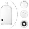 DOITOOL Smoking Cloche Dome Cover Glass Food Cover for Smoke Infuser Smoker Smoking Infusion Plates Bowls and Glasses