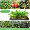 10Pcs No Holes Seed Propagation Tray Reusable Bonsai Flowerpot Tray  Garden Supplies