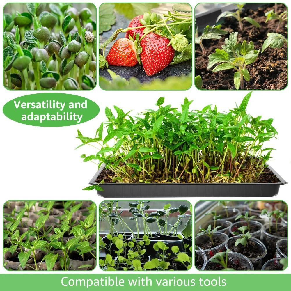 10Pcs No Holes Seed Propagation Tray Reusable Bonsai Flowerpot Tray Garden Supplies