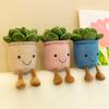 Succulents Plush Toy Cute Succulents Plushies 23cm Flower Pot Stuffed Plushie Pillow Decoration Soft Fluffy Toy Succulent Plants Friend Throw Pillow
