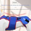 Back for Dogs - IVDD Support Harness for Rehabilitation, Adjustable Size, Durable Material, Lightweight Design