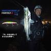 Daiwa Shoreline Shiner Z Vertis R125F 3D Inacco Lure 125mm
