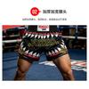 Martial Arts Shorts Muay Thai Boxing MMA Kickboxing Training Kids Adult Quick Dry Fight Pants