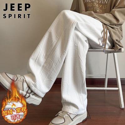 JEEP SPIRIT Мужские свободные брюки прямого кроя с текстурой в стиле кэжуал