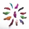 20pcs Pheasant Chicken Feathers Diy Earrings Jewelry Making Dream Catcher Wedding Centerpiece Decor Crafts Material Accessories 