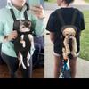 Lightweight Build Pet Carrier Pack Dual Shoulder Strap Cat Dog Daypack Pet Backpack  Park Outing