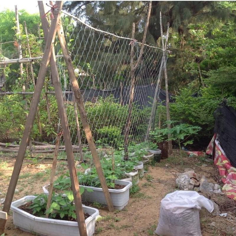 Решетка для садовых растений, сетка, сверхпрочная полиэфирная опора для растений, виноградная лоза, гидропоника, садовые сетчатые аксессуары, многоцелевое использование