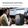 Philips Портативная Bluetooth-колонка для караоке SD308, китайская вилка (адаптер в комплекте) (Китайская версия)