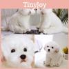 Очаровательная белая мальтийская плюшевая игрушка, наполнена волокном, длинношерстное чучело животного, 33x24x16см/38x26x21см