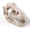 Resin Dinosaur Stone Statue Simulation Mini Crocodile Head Decoration Decorative Props Artificial Decor for Aquarium Landscaping