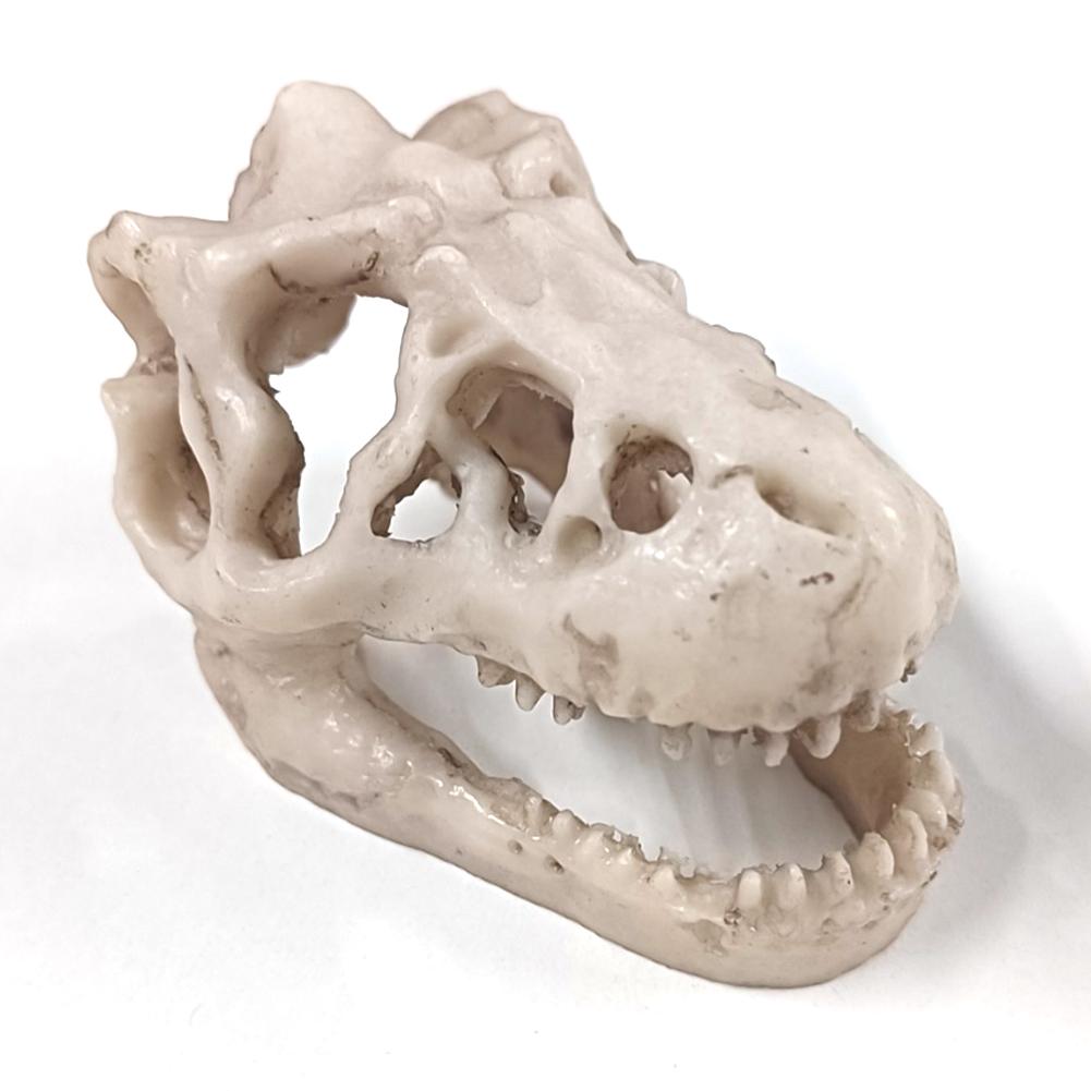Resin Dinosaur Stone Statue Simulation Mini Crocodile Head Decoration Decorative Props Artificial Decor for Aquarium Landscaping
