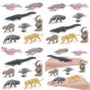 Crocodile Dolphin South American Animal Model Set Plastic Decor For Nature Enthusiasts