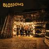 CD BLOSSOMS - BLOSSOMS  CDV3156 Virgin EMI Reco 2016 Япония Рок Б/У