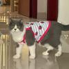 Сладкий принт Сфинкс Одежда для кошек Летний жилет для питомцев Кошки Gotas Katten Kedi Рубашки Щенки mascotas Одежда Наряд ubranie dla kota