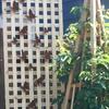 15 Pcs Creative Yard Rusty Metal Home Rustic Wall Art Outdoor Garden Fence Decor