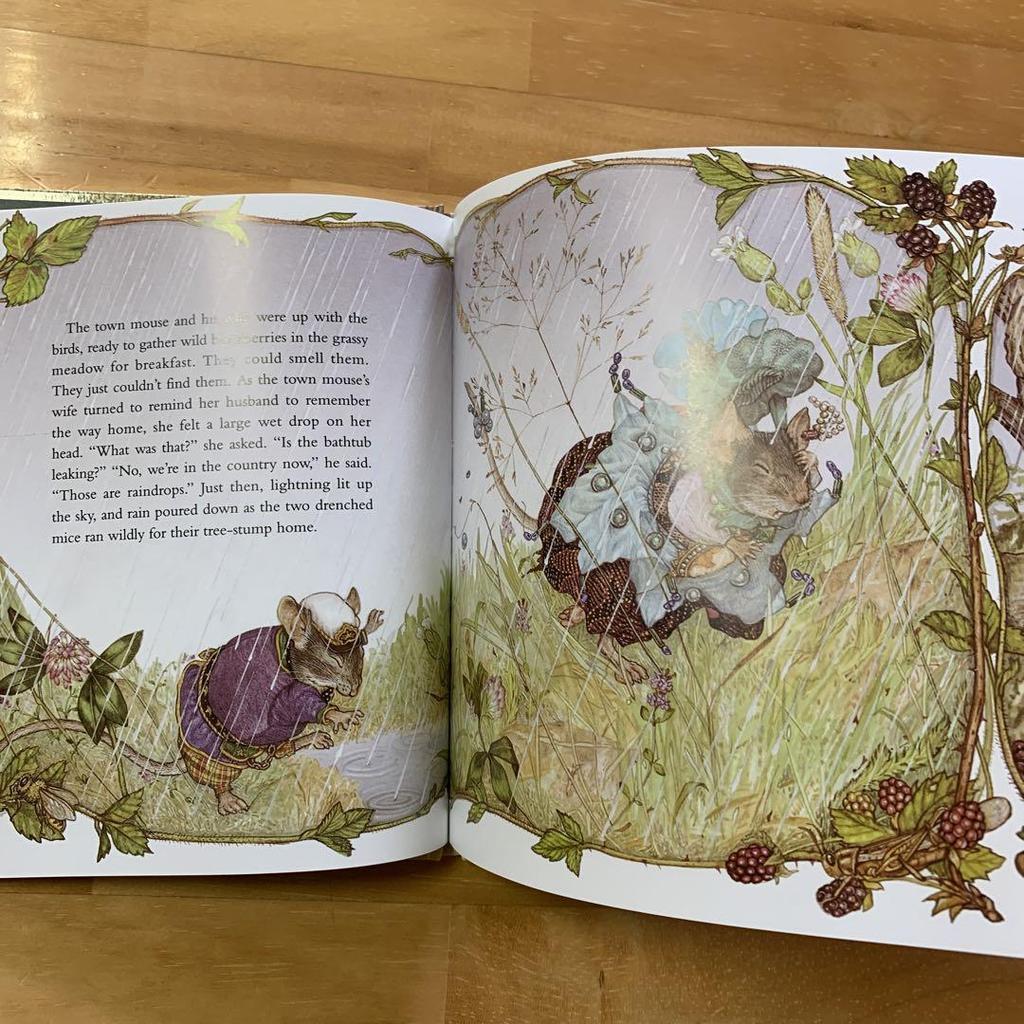 [Б/У] Джен Бретт Городская мышь Деревенская мышь