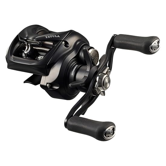 DAIWA Baitcasting Reel 24 TATULA TW 100XHL
