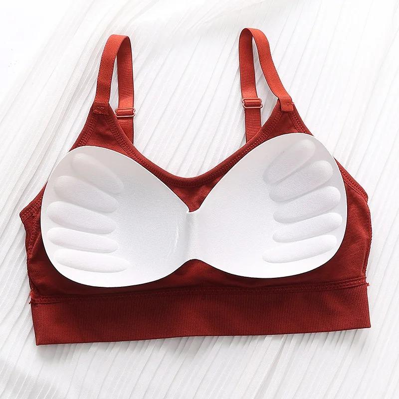 Японский бюстгальтер с ребрами плюшевого мишки, красивая спинка, антибликовое покрытие, регулируемые бретели, майка, нижнее белье, спортивный бюстгальтер для женщин