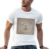 Mosaic Depicting Ktisis (Creation) Tshirt Simple Graphic Design Tshirt