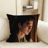 The Tv Series Pursuit Of Jade X-Xie Zheng Z-Zhang Linghe Pillow Case Living Room Sofa Cushion Cover