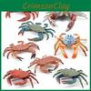 High Quality Imitation Crab Figures Unique Designs For Collectors And Coastal Decor Enthusiasts