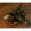 Hill Interiors Dahlia Artificial Flower