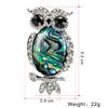 Women Fashion Owl Shell Broochpins Elegant All-match Scarf Buckle Suit Brooches Decoration