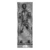 Star Wars Carbonite Han Solo Door Poster