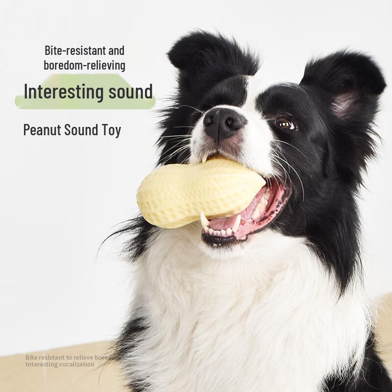 Dog Peanut Chew Toy with Squeaker