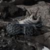 JQ6725 adidas Terrex Skychaser AX5 GORE-TEX Туристическая обувь (Женский)