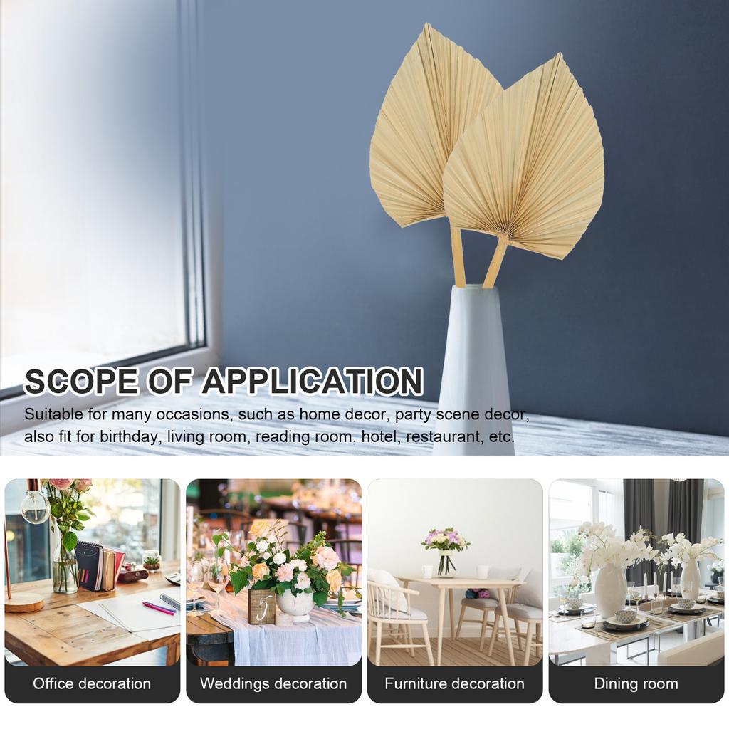 3 шт. Настенное украшение Свадебные украшения Лист Окно Пальма Сушеный Веер Сухие листья Декоративное моделирование Гостиничные принадлежности