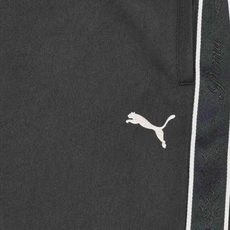 Puma РЕТРО Повседневные брюки Женские 635721-01