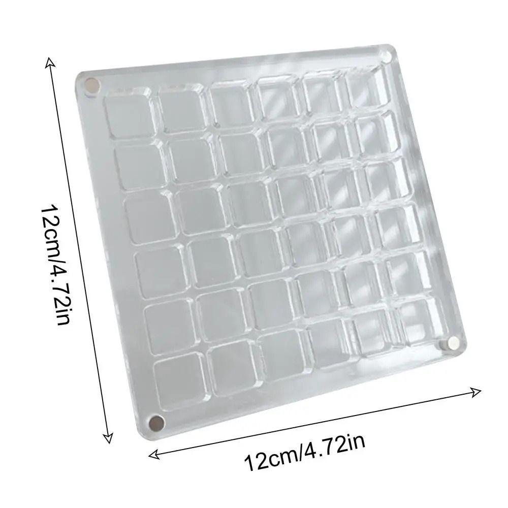 Plastic Magnetic Seashell Display Box Mini Seashell Collection Case New Seashell Storage Box