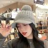 Outdoor Sports Women's Hat Autumn Winter Korean Baseball Cap Plush Lining Warm Knitted