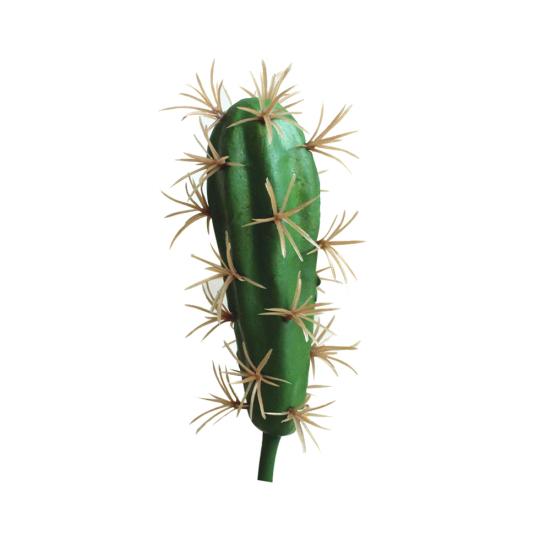 1 шт., искусственный кактус, суккулентное растение, бонсай, офисный стол, домашний декор для вечеринки?