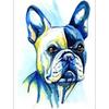 Красочная собака Алмазная вышивка Крест Стежок 5d Diy Алмазная картина Животное Мозаика Украшение дома