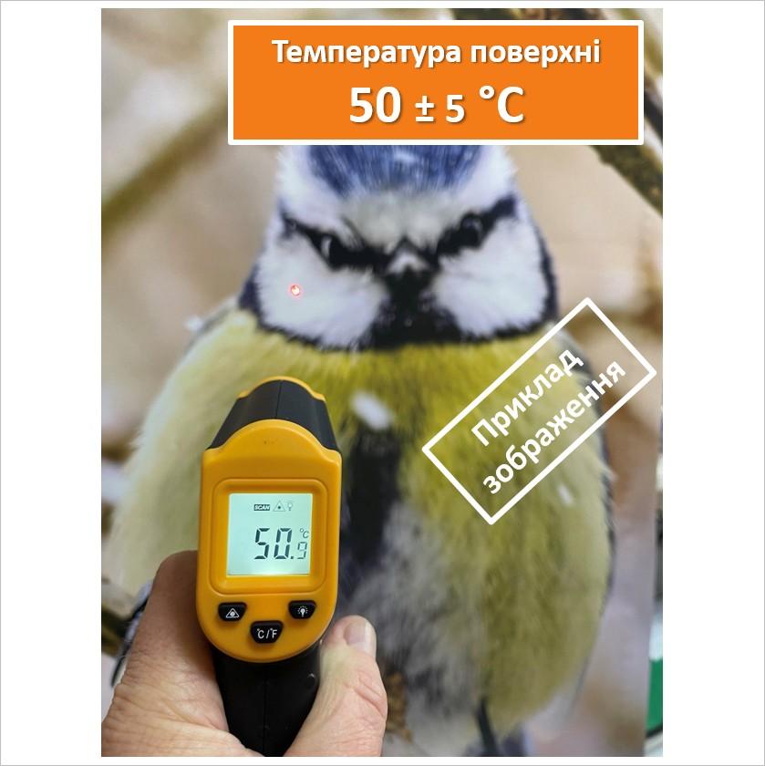 Electric Wall Heater-Picture Sea Cliffs 60x105cm/300W/220V