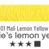 Mali Oil Paint 200/60ml Artist Grade Tube: 99 Colors, High Coverage